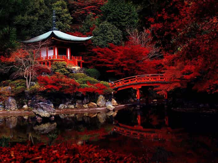 4 Day Private Tour Tokyo, Mt.Fuji, Nikko, Kamakura, Hakone - Key Points