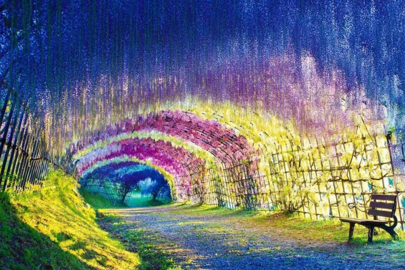4 Day Private Tour Tokyo, Mt.Fuji, Nikko, Kamakura, Hakone - Discovering Nikkos UNESCO-Listed Wonders