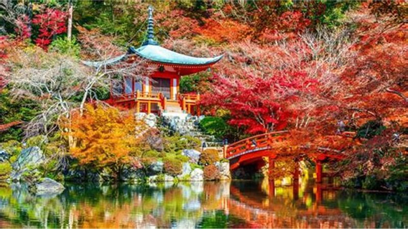 4 Day Private Tour Tokyo, Mt.Fuji, Nikko, Kamakura, Hakone - Rejuvenating in Hakones Hot Springs