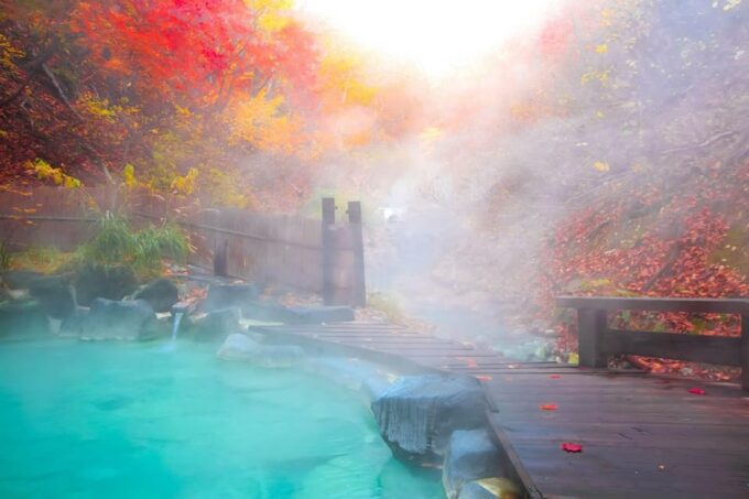 4 Day Private Tour Tokyo, Mt.Fuji, Nikko, Kamakura, Hakone - Frequently Asked Questions