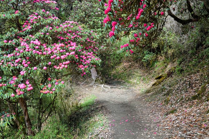 4-Day Private Trekking Experience To Poon Hill and Ghandruk - Packing List and Travel Tips