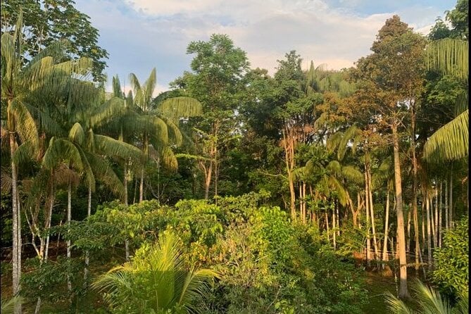 4 Day Private Wild Amazon Adventure Tour - Indigenous Community Visit