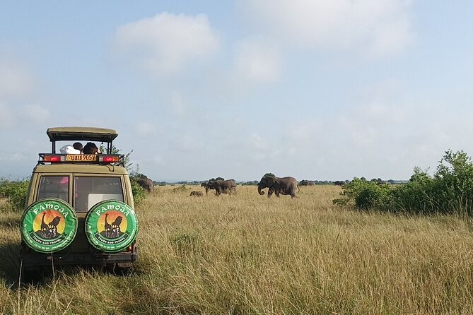 4-Day QENP, Gorillas in Bwindi and Lake Bunyonyi Relaxation - Pricing and Inclusions