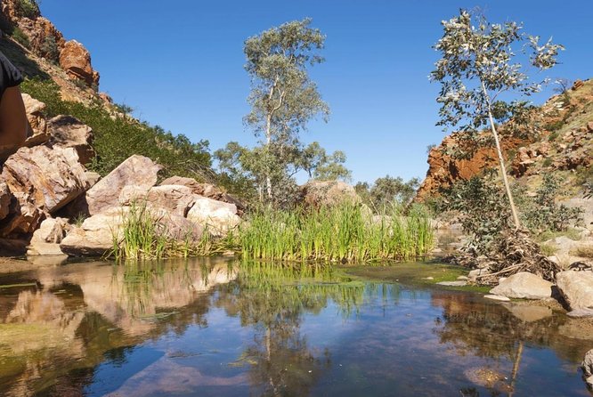4 Day Red Centre Kings Canyon West Macdonnell From Alice Springs - Key Points