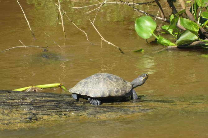 4 Day Refugio Amazonas - Classic Program - Group Service - Pricing and Additional Costs