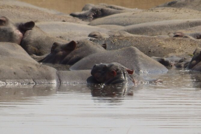 4-Day Safari From Arusha: Tarangire, Serengeti and Ngorongoro - Booking and Cancellation