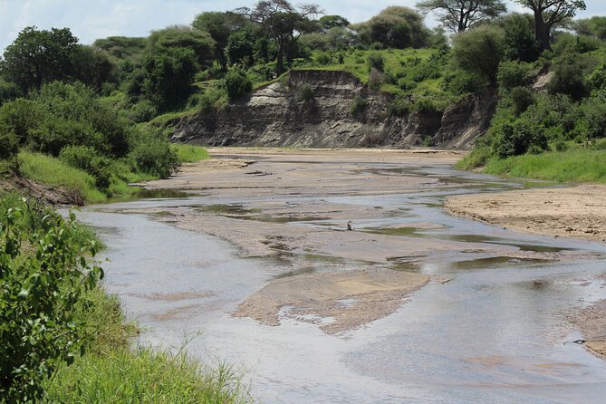 4-Day Safari in Tarangire, Serengeti & Ngorongoro (Mid-range) - Cancellation Policy