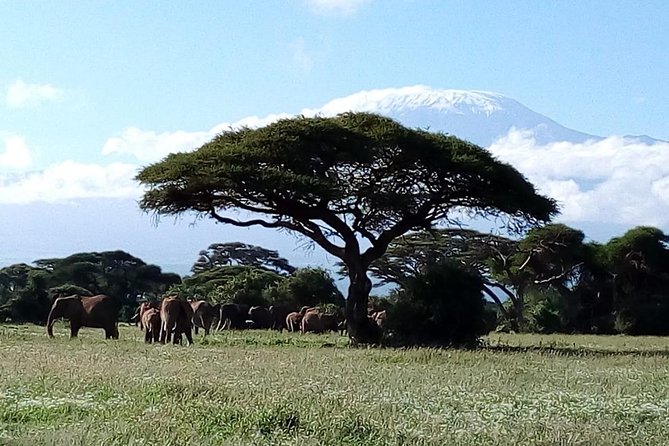 4-Day Safari: Lake Manyara, Serengeti & Ngorongoro - Included Attractions