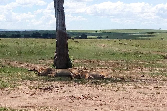 4-Day Safari: Lake Manyara, Serengeti & Ngorongoro - Safari Itinerary