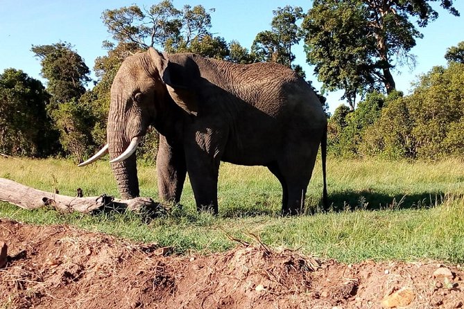 4-Day Safari: Lake Manyara, Serengeti & Ngorongoro - Preparing for the Safari