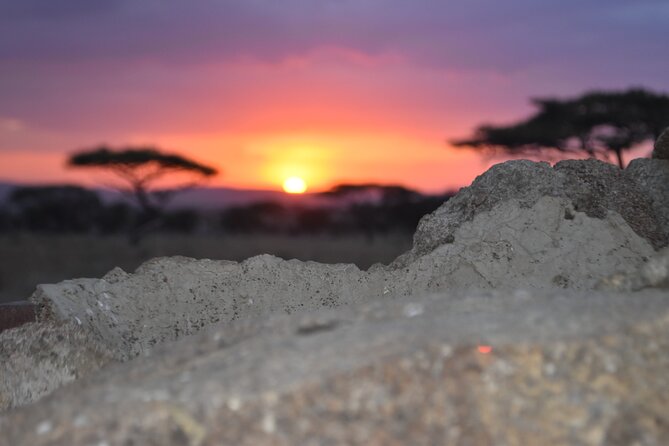 4 Day Safari- Tarangire,Ngorongoro and Serengeti - Inclusions and Exclusions