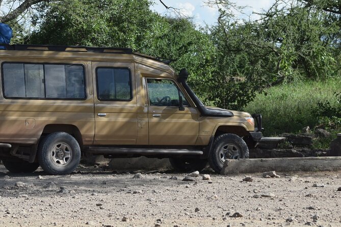 4-Day Safari to Tarangire ,Serengeti and Ngorongoro Crater From Arusha - Additional Tour Information