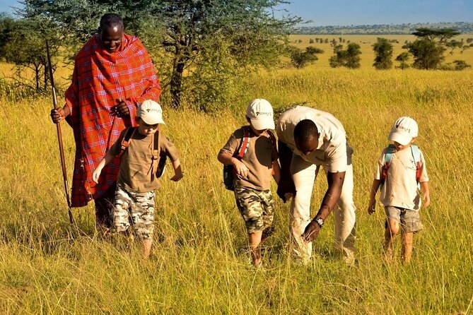 4-Day Safari to Tarangire ,Serengeti and Ngorongoro Crater From Arusha - Getting Started