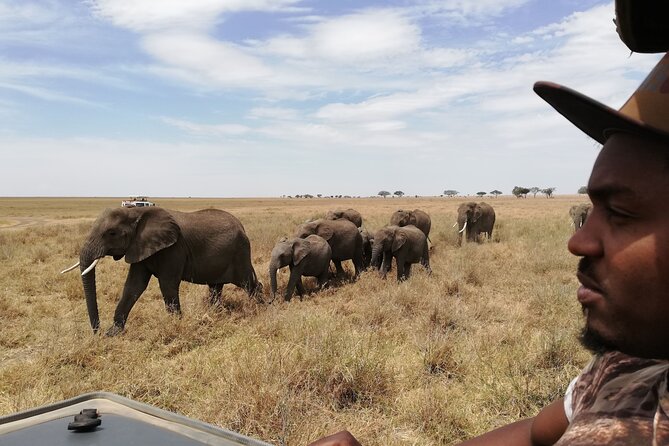 4-Day Safari to Tarangire, Serengeti and Ngorongoro From Arusha - Join a Group - Serengeti National Park