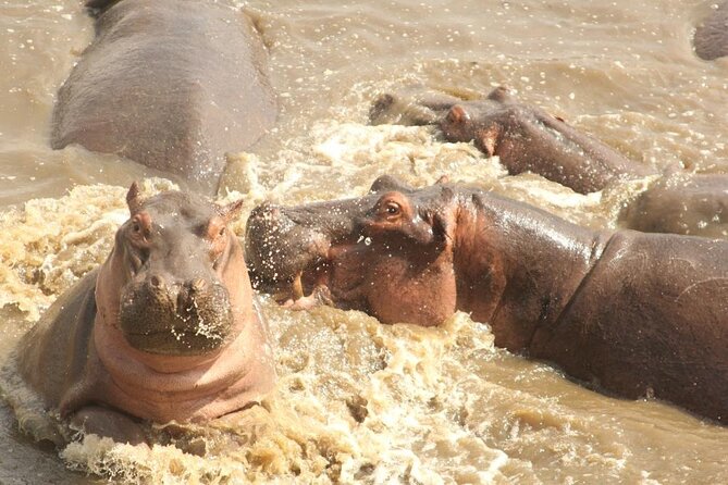 4 Day Serengeti and Ngorongoro Crater - Tented Camps and Lodges