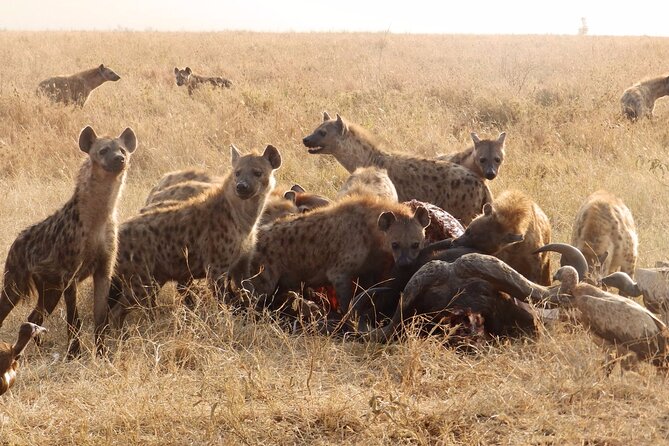 4 Day Serengeti and Ngorongoro Crater - Included Meals and Beverages