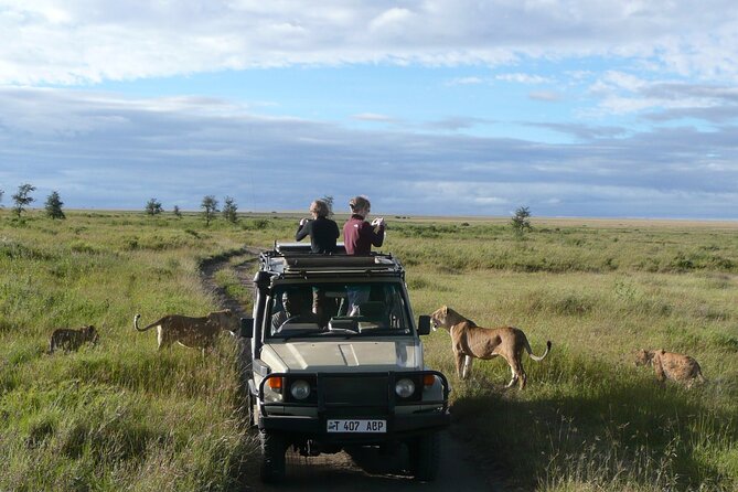 4-Day Serengeti, Ngorongoro, & Lake Manyara Budget Tour - Serengeti National Park