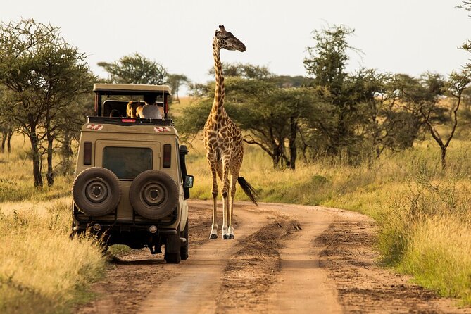 4-Day Serengeti, Ngorongoro, & Lake Manyara Budget Tour - Accommodations