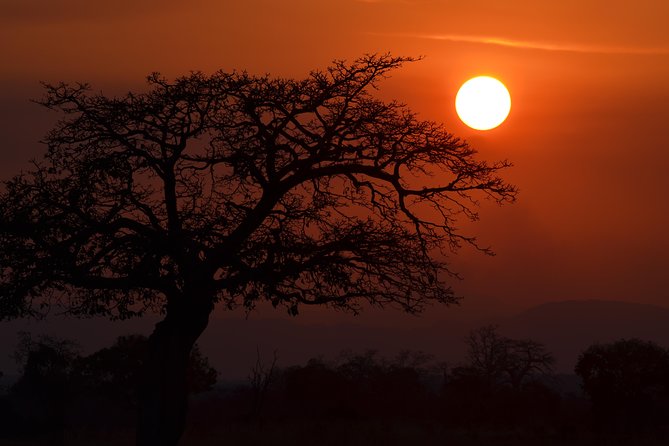 4 Day Serengeti & Ngorongoro Safari Wildlife Wonders of Tanzania - Safari Activities
