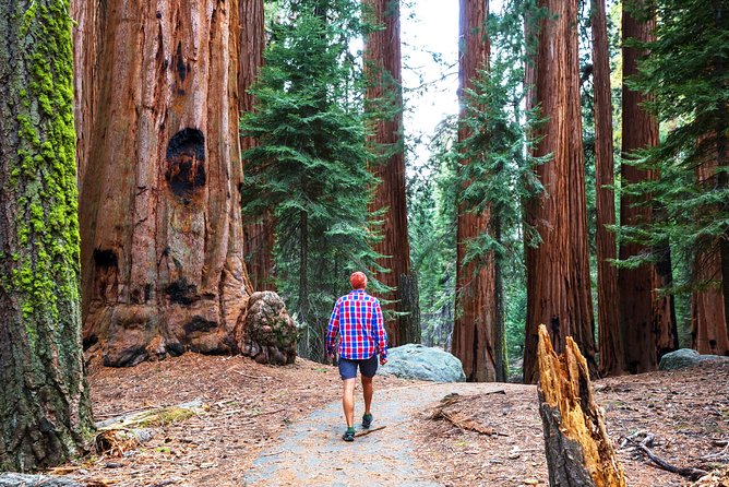 4 Day Sierra Nevada Tour of Yosemite and Tahoe From San Francisco - Additional Information