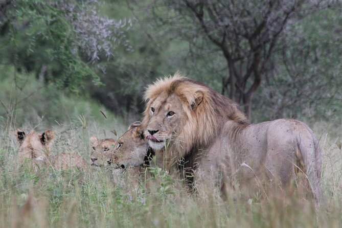 4-Day Simba Safari - Mid Range Tour - Accommodation Details