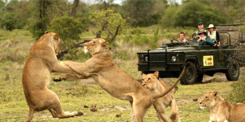 4 Day Small Group Garden Route - Depart Cape Town Wednesdays - Inclusions