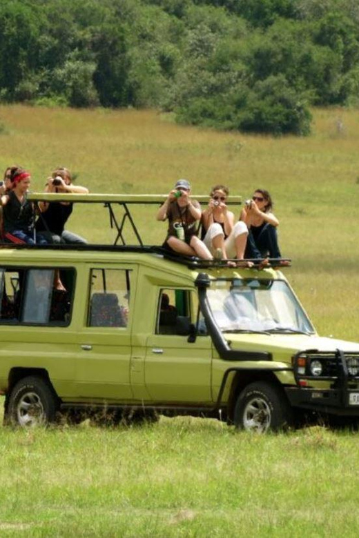 4 Day Small Group Garden Route Tour From Cape Town - Key Points