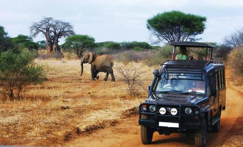 4 Day Small Group Garden Route Tour From Cape Town - Itinerary Highlights