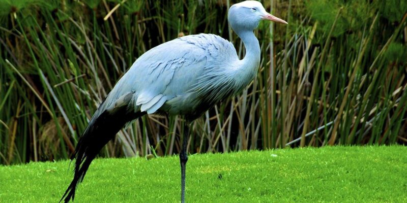 4 Day Small Group Garden Route Tour From Cape Town - Day 3: Knysna to Plettenberg Bay