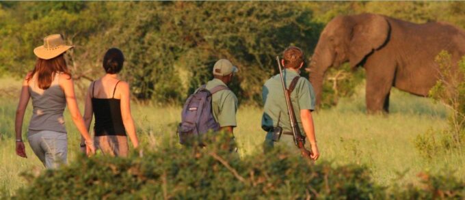 4 Day Small Group Garden Route Tour From Cape Town - The R62 Wine Route