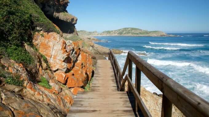 4 Day Small Group Garden Route Tour From Cape Town - Frequently Asked Questions