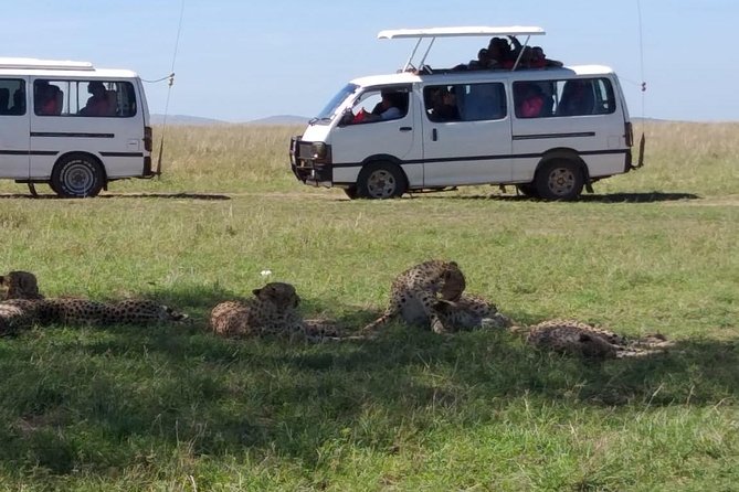 4-Day Small Group Maasai Mara and Lake Nakuru Safari Without Fees - Included Accommodation and Meals