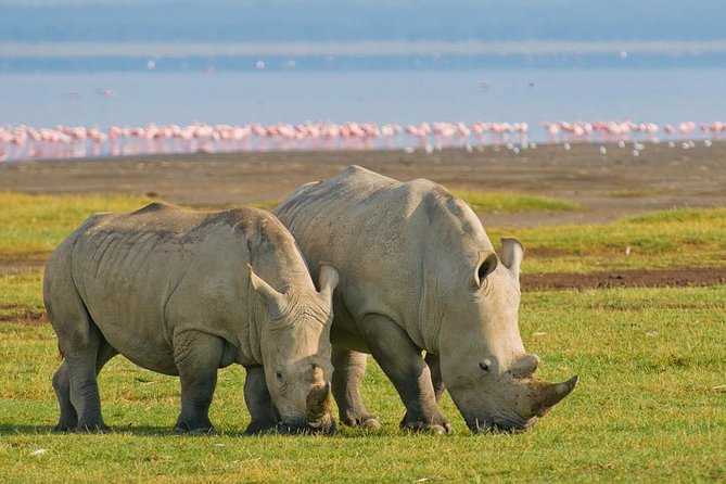 4-Day Small Group Maasai Mara and Lake Nakuru Safari Without Fees - Additional Information and Restrictions