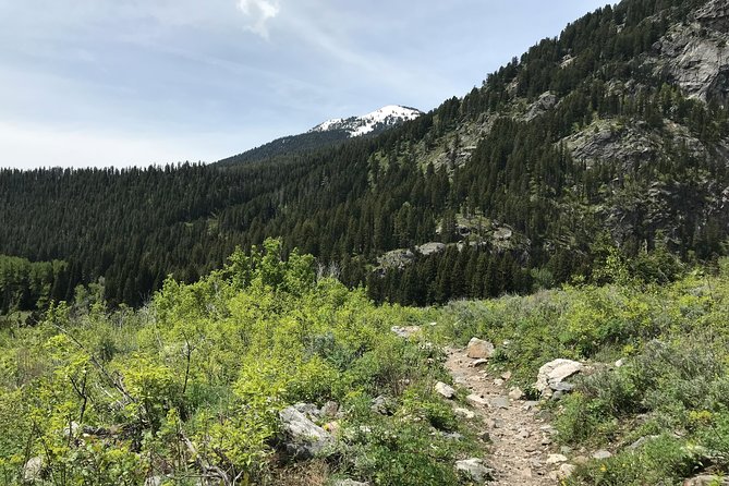 4-Day Small Group Tour: Yellowstone and Tetons Camping From Salt Lake City - Pricing and Booking