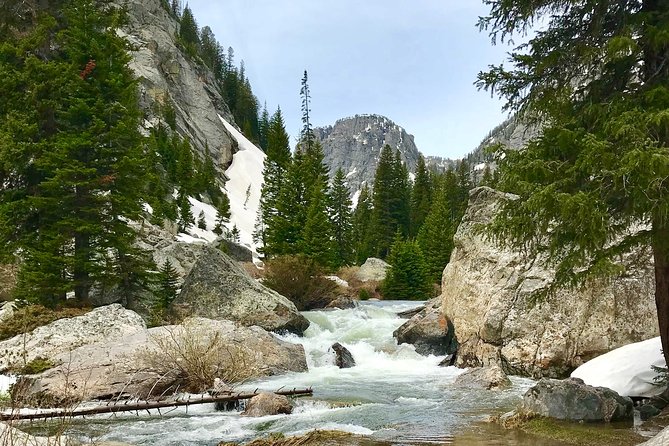 4-Day Small Group Tour: Yellowstone and Tetons Camping From Salt Lake City - Itinerary and Highlights
