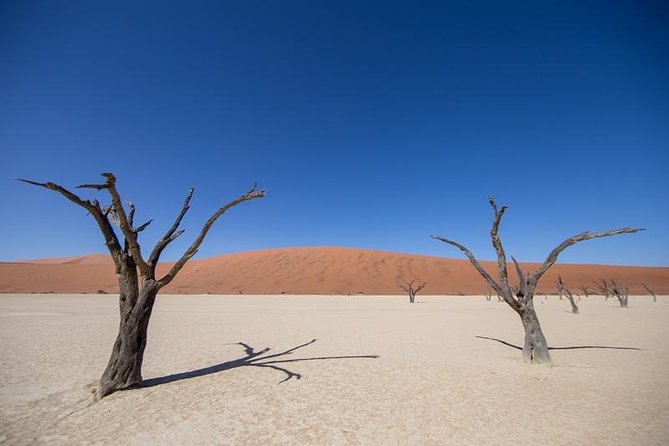 4-Day Swakopmund and Sossusvlei Accommodated Adventure From Windhoek - Group Size and Fitness Level