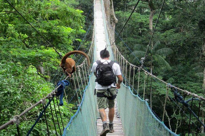 4-Day Tambopata National Reserve – Tambopata Peru Tours - Key Points