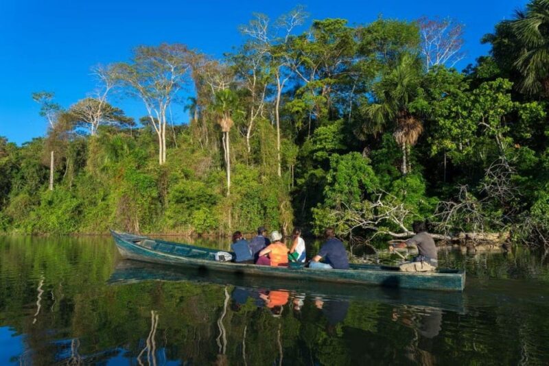 4-Day Tambopata Tour With Ayahuasca Ceremony - Experience and Activities