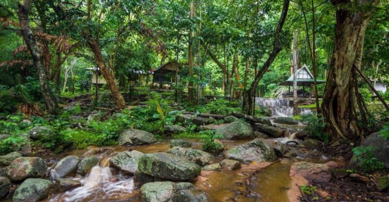 4-Day Tambopata Tour With Ayahuasca Ceremony - Wildlife Observation