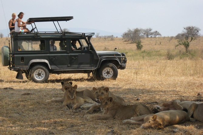 4-Day Tanzania Camping Safari to Lake Manyara, Serengeti, and Ngorongoro Crater - Experiencing the Ngorongoro Crater