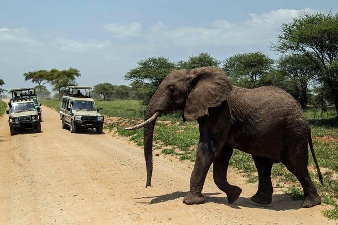 4-Day Tanzania Camping Safari to Lake Manyara, Serengeti, and Ngorongoro Crater - Frequently Asked Questions