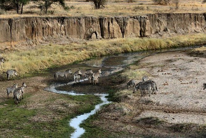 4 Day Tanzania Luxury Safari - Accessibility and Participation