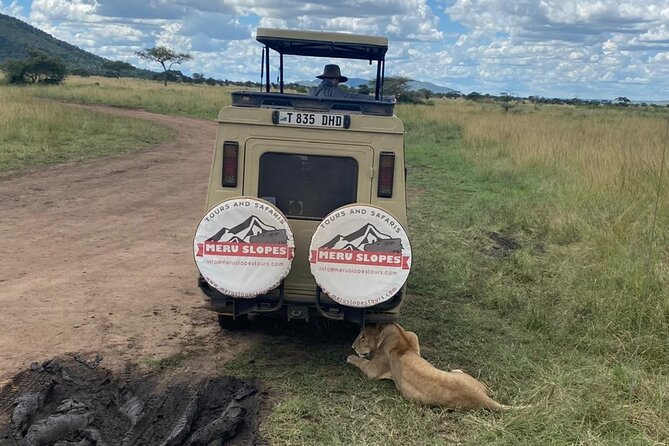 4-Day Tarangire Serengeti, Ngorongoro & Maasai Guided Group Tour - Accommodation
