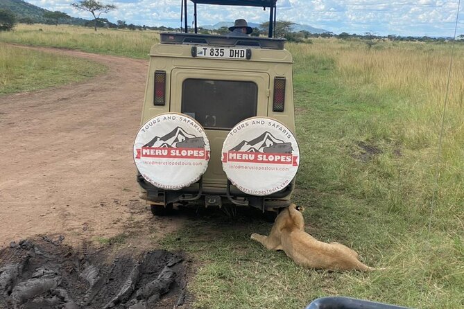 4-Day Tarangire Serengeti, Ngorongoro & Maasai Guided Group Tour - Cultural Experiences