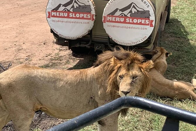 4-Day Tarangire Serengeti, Ngorongoro & Maasai Guided Group Tour - Packing Essentials