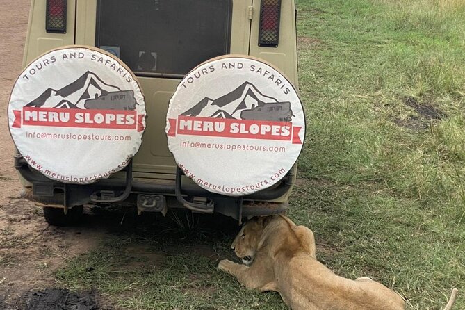 4-Day Tarangire Serengeti, Ngorongoro & Maasai Guided Group Tour - Transportation Details