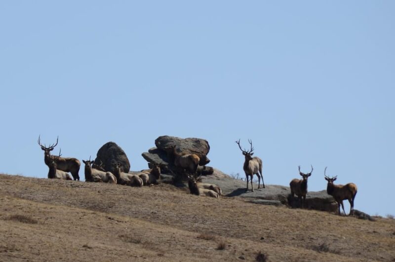 4 Day Terelj National Park and Great Gobi - Key Points