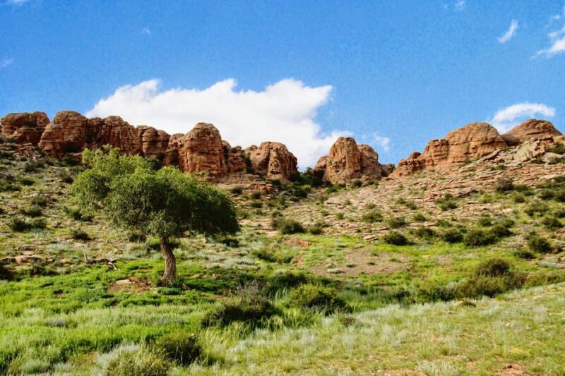 4 Day Terelj Park and Gobi Tour - Exclusions
