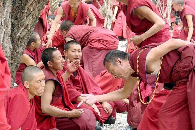4-Day Tibet Tour: Private Lhasa Package of Potala Palace, Jokhang Temple - Accommodation Details