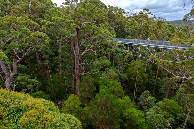 4 Day Tour: Albany, Margaret River, Valley of the Giants Treetop Walk From Perth - Day 2: Albany to Pemberton